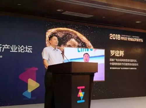 網絡影視精品化 鑄就視聽新紀元，引領影視制作新浪潮