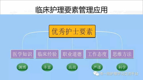 思維導圖在臨床管理中的應用 賦能精準醫療與高效協作
